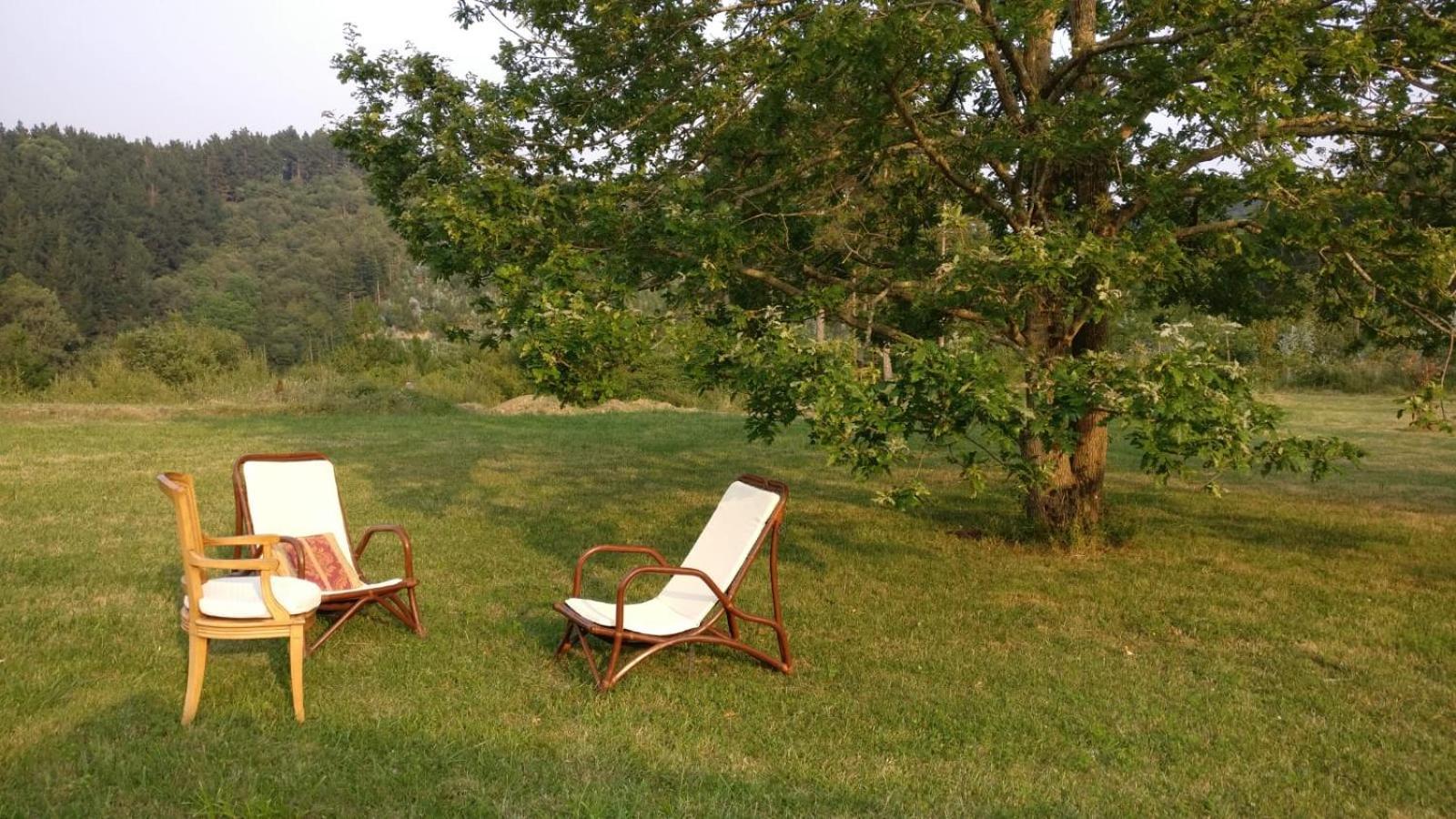 Amplio Apartamento Con Jardin En Casa Rural Haritza Con Vistas Al Mar Ea Extérieur photo
